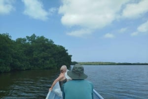 Cartagena: Navega nos manguezais de Cartagena