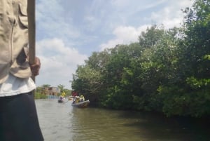 Cartagena: Navega nos manguezais de Cartagena
