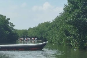 Cartagena: Navega nos manguezais de Cartagena