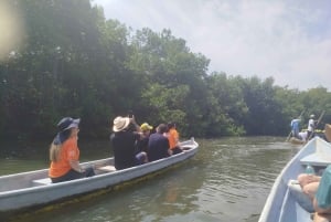 Cartagena: Navega nos manguezais de Cartagena