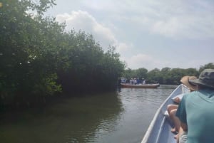 Cartagena: Navega nos manguezais de Cartagena