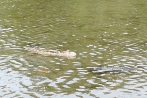 Cartagena: Navega nos manguezais de Cartagena