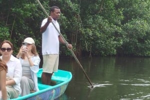 Cartagena: Navega nos manguezais de Cartagena