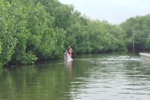 Cartagena: Navega nos manguezais de Cartagena