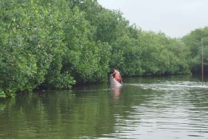 Cartagena: Navega nos manguezais de Cartagena