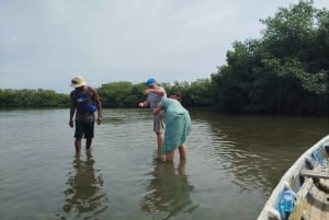 Cartagena: Navega nos manguezais de Cartagena