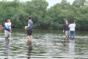 Cartagena: Navega nos manguezais de Cartagena