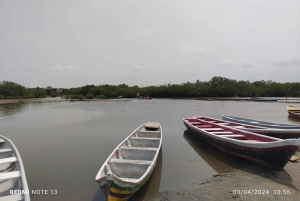 Cartagena:Sail through the mangrove in a canoe in ENGLISH