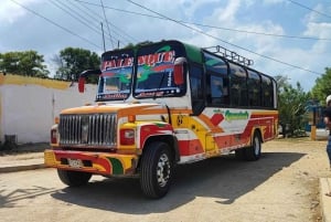 Cartagena: Dagsutflykt till San Basilio de Palenque med guide