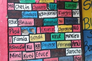 Cartagena: dagtour naar San Basilio de Palenque met gids