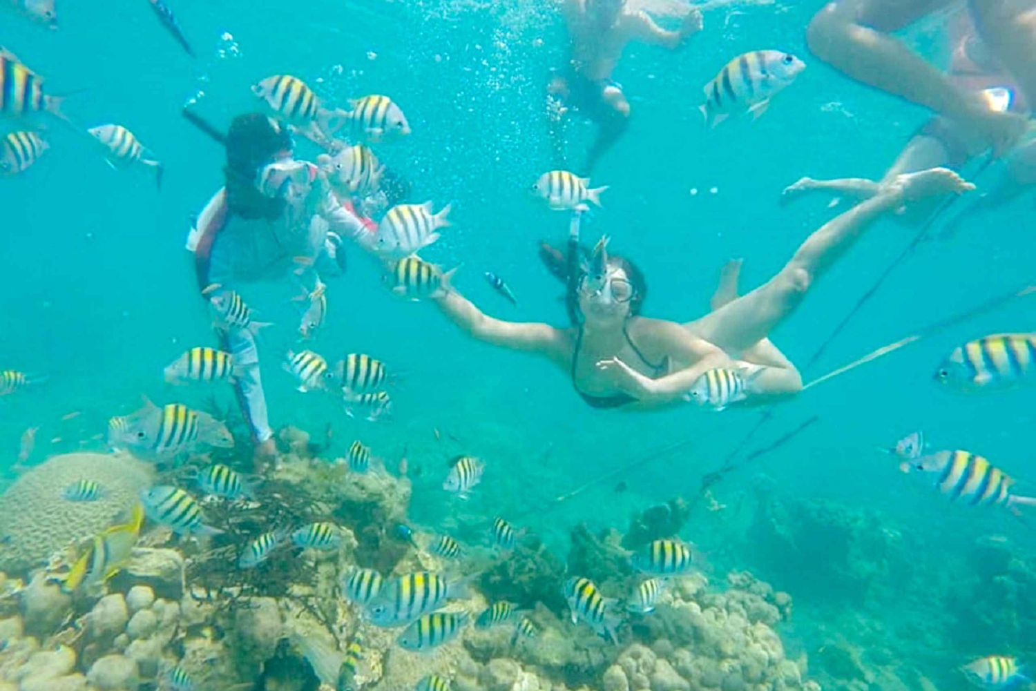 Cartagena: Snorkling, mangroveskog og Playa Blanca-tur
