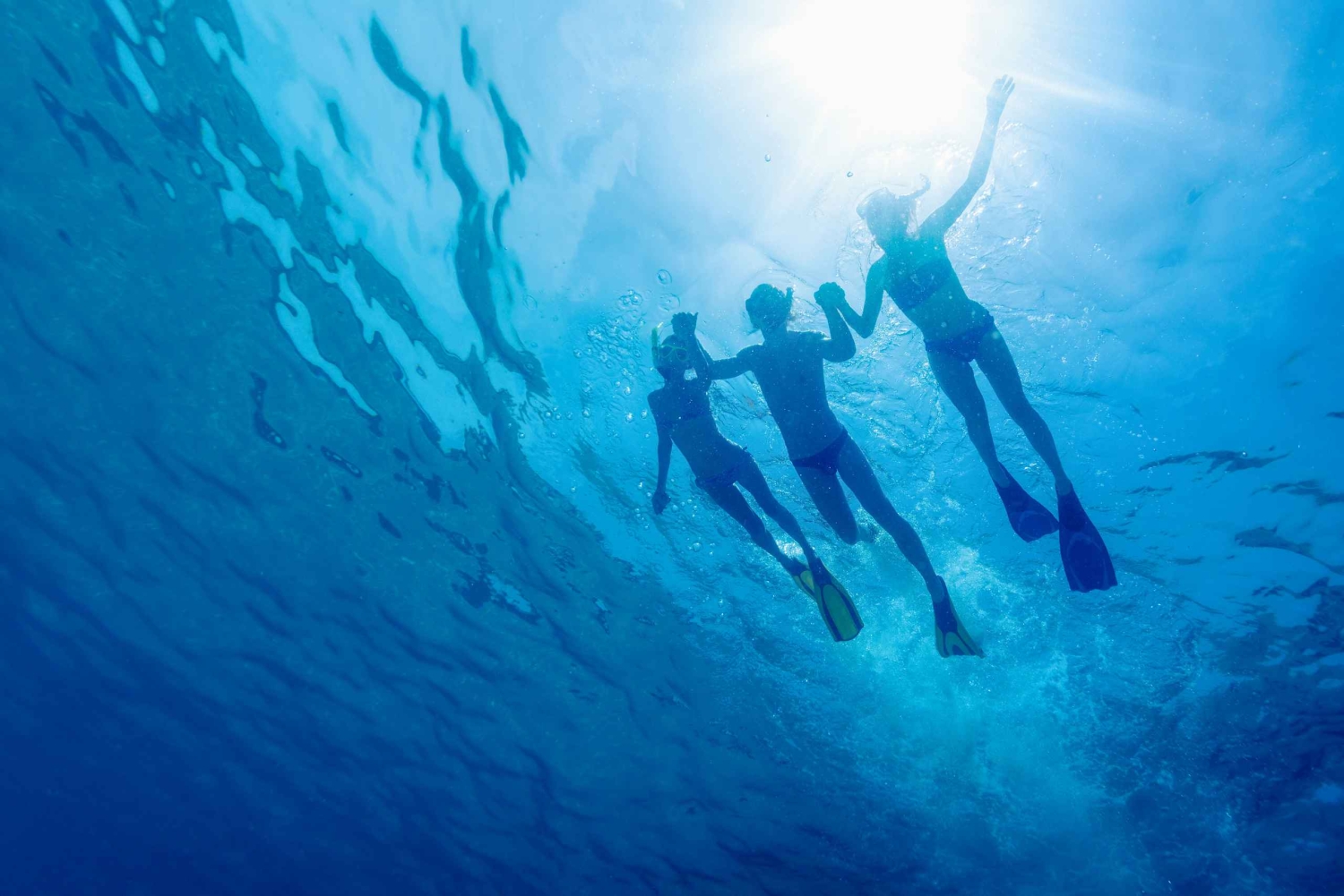 Cartagena: Snorkling, mangroveskog og Playa Blanca-tur