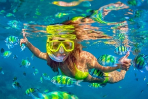 Cartagena: Excursión de Snorkel, Manglares y Playa Blanca