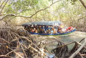 Cartagena: tour de esnórquel, manglares y Playa Blanca