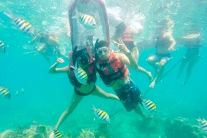 Cartagena: Snorkling, mangroveskog og Playa Blanca-tur