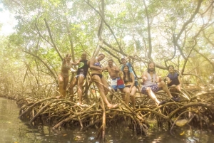 Cartagena: Snorkling, mangroveskog og Playa Blanca-tur