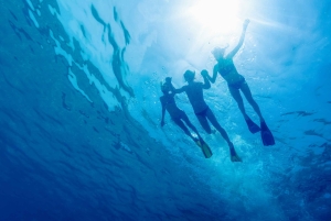 Cartagena: Snorkling, mangroveskog og Playa Blanca-tur