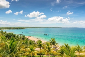 Cartagena: Snorkling, mangroveskog og Playa Blanca-tur