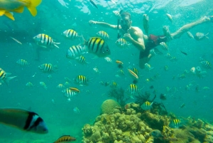 Cartagena: Snorkling, mangroveskog og Playa Blanca-tur