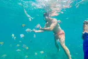 Cartagena: Snorkling, mangroveskog og Playa Blanca-tur