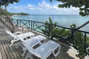 カルタヘナソル・イ・パパヤ・ビーチクラブ（Sol y Papaya Beachclub） - アイラ・グランデ（Isla Grande）日帰りツアー！