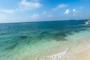 カルタヘナソル・イ・パパヤ・ビーチクラブ（Sol y Papaya Beachclub） - アイラ・グランデ（Isla Grande）日帰りツアー！