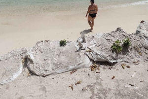 カルタヘナソル・イ・パパヤ・ビーチクラブ（Sol y Papaya Beachclub） - アイラ・グランデ（Isla Grande）日帰りツアー！