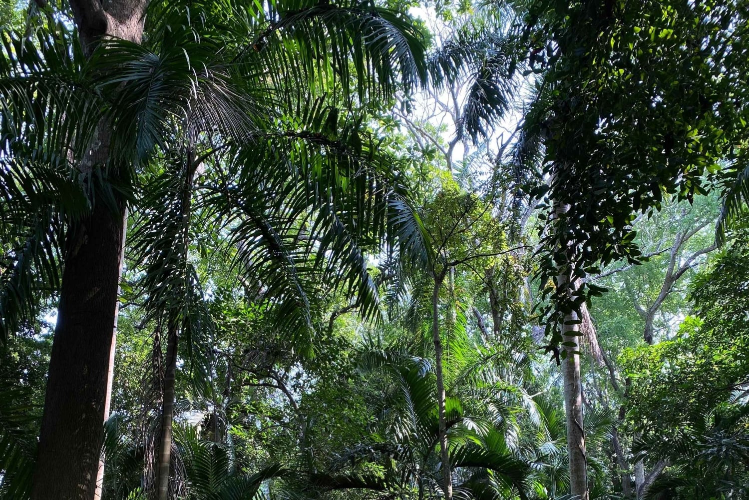 Cartagena: Se apor, djur och växter i botaniska trädgården