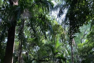 Cartagena: Se apor, djur och växter i botaniska trädgården