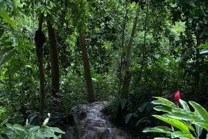 Cartagena: Se apor, djur och växter i botaniska trädgården