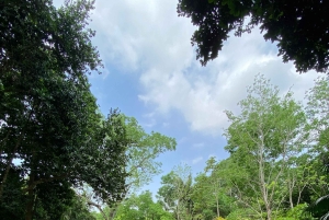 Cartagena: Se apor, djur och växter i botaniska trädgården