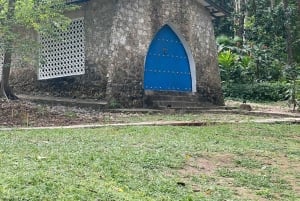 Cartagena: Se apor, djur och växter i botaniska trädgården