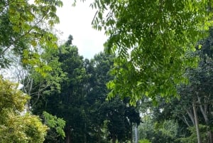 Cartagena: Se apor, djur och växter i botaniska trädgården