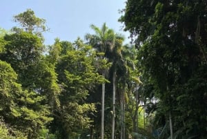 Cartagena: Se apor, djur och växter i botaniska trädgården