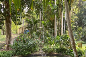 Cartagena: Se apor, djur och växter i botaniska trädgården
