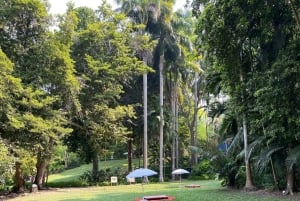 Cartagena: Se apor, djur och växter i botaniska trädgården