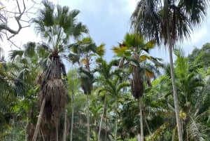Cartagena: Se apor, djur och växter i botaniska trädgården