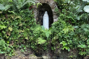 Cartagena: Se apor, djur och växter i botaniska trädgården