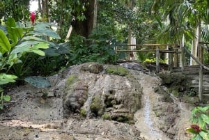 Cartagena: Se apor, djur och växter i botaniska trädgården