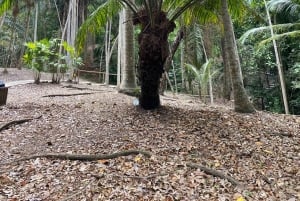 Cartagena: Se apor, djur och växter i botaniska trädgården