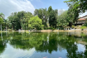 Cartagena: Se apor, djur och växter i botaniska trädgården