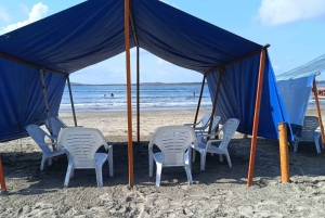 Cartagena: SUN TENT and CHAIRS on the Castillogrande beach