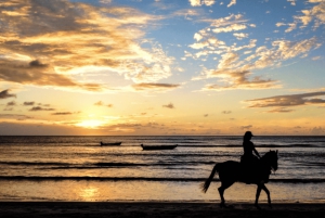 Carthagène : promenade à cheval sur la plage ou croisière dans la baie