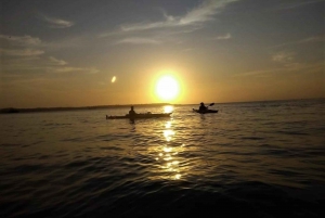 Cartagena: Sunset Sea Kayaking Tour