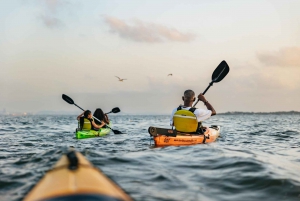 Cartagena: tour al atardecer en kayak