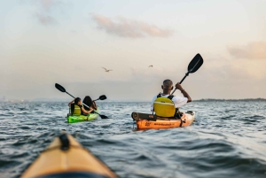 Cartagena: Excursión en Kayak de Mar al Atardecer