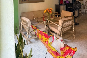 Cartagena: The best gastronomic tour & history of the old town