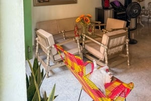 Картахена: лучшая гастрономическая и историческая экскурсия по старому городу