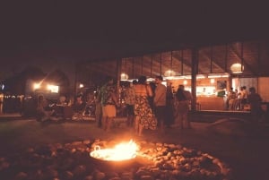 Cartagena: Tierra Bomba -rannan illallinen DJ:n ja venekyydin kera