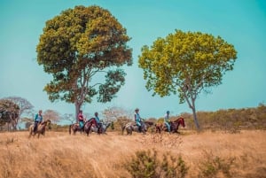 Cartagena, Blue Apple Beach, Horse Treks